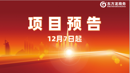 狠抓投資選址項(xiàng)目促實(shí)效！12月7日起，21家優(yōu)質(zhì)企業(yè)精準(zhǔn)對(duì)接全國(guó)政府園區(qū)