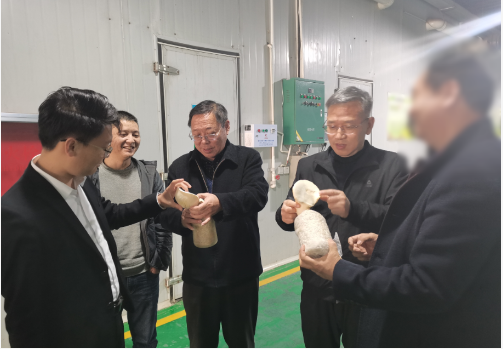 合作邁出堅(jiān)實(shí)一步！集團(tuán)推進(jìn)3家優(yōu)質(zhì)投資選址企業(yè)精準(zhǔn)對(duì)接地方政府