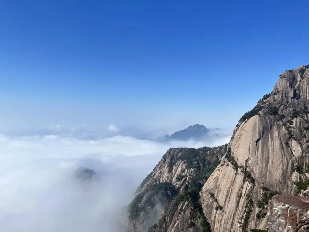 東方龍商務與春天有個約會！集團100余人赴安徽黃山“團建”，太嗨了！“奔跑二季度”——我們準備好了！